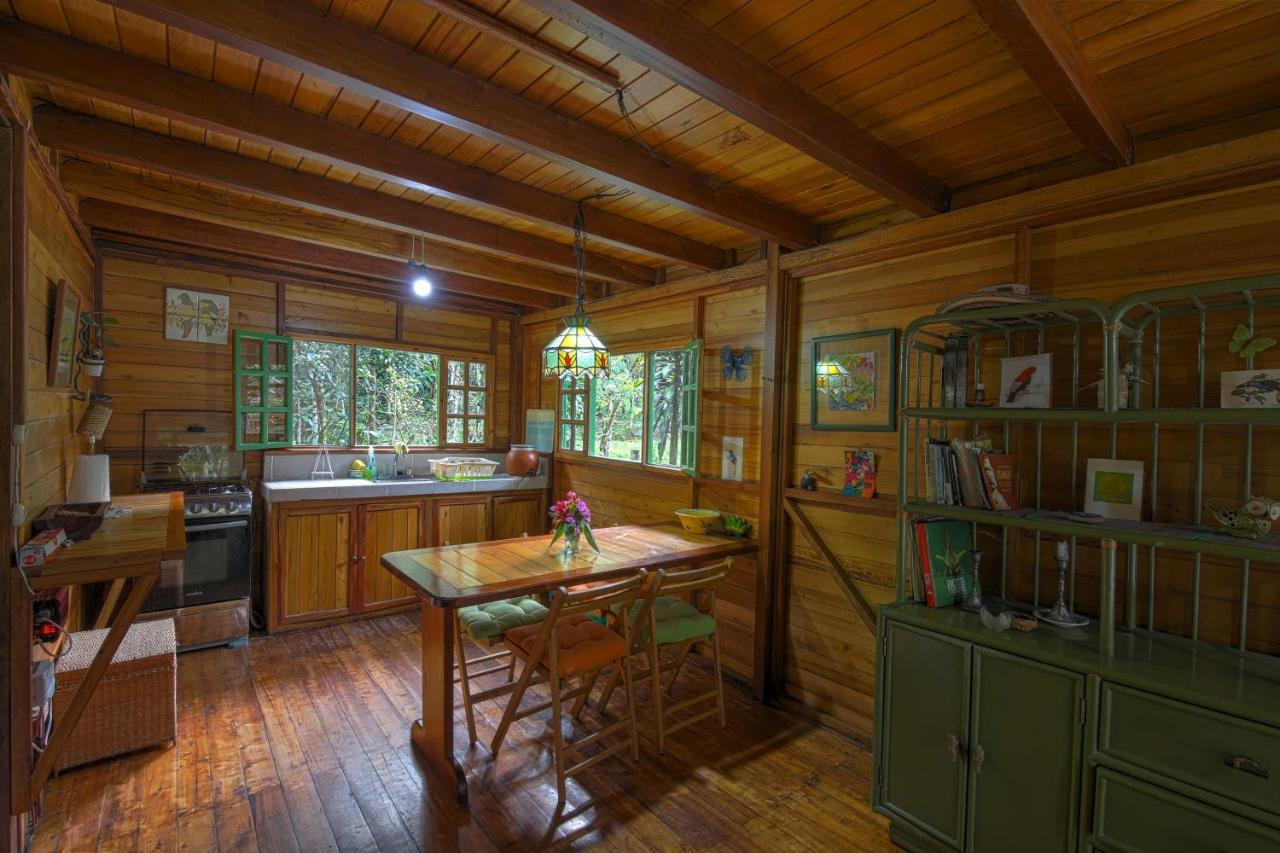 Mindo Eco Chalet Con Rio Y Cascada Exteriör bild