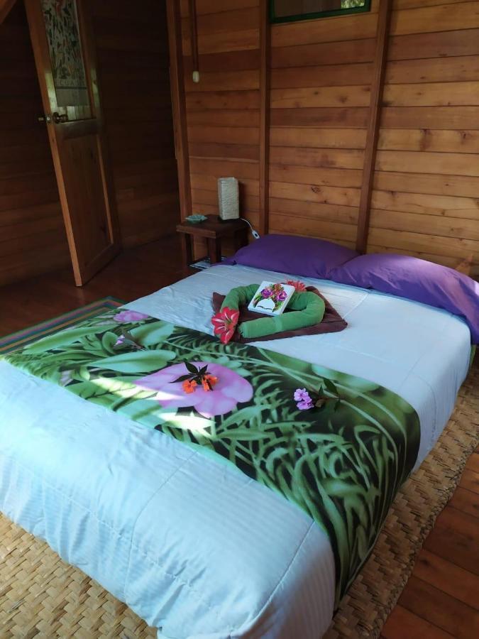 Mindo Eco Chalet Con Rio Y Cascada Exteriör bild