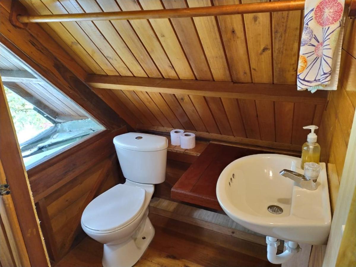 Mindo Eco Chalet Con Rio Y Cascada Exteriör bild