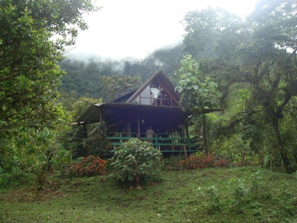Mindo Eco Chalet Con Rio Y Cascada Exteriör bild
