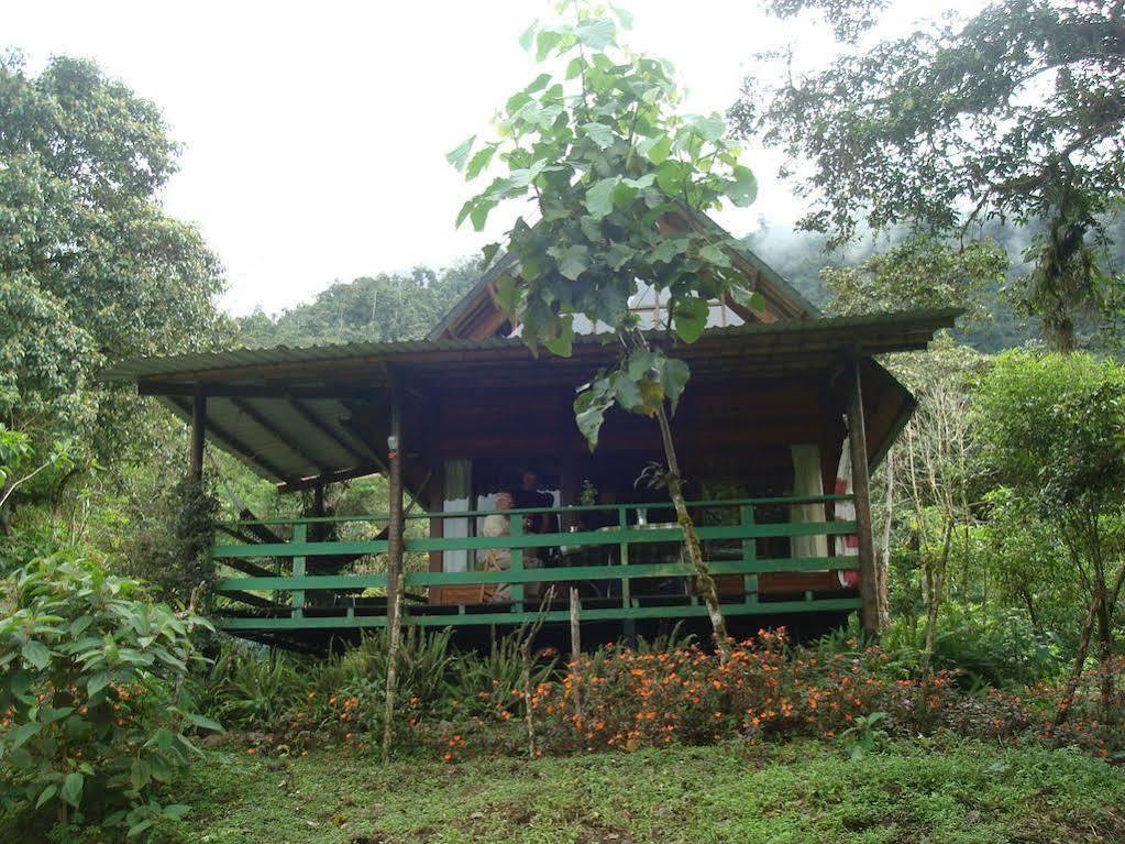 Mindo Eco Chalet Con Rio Y Cascada Exteriör bild